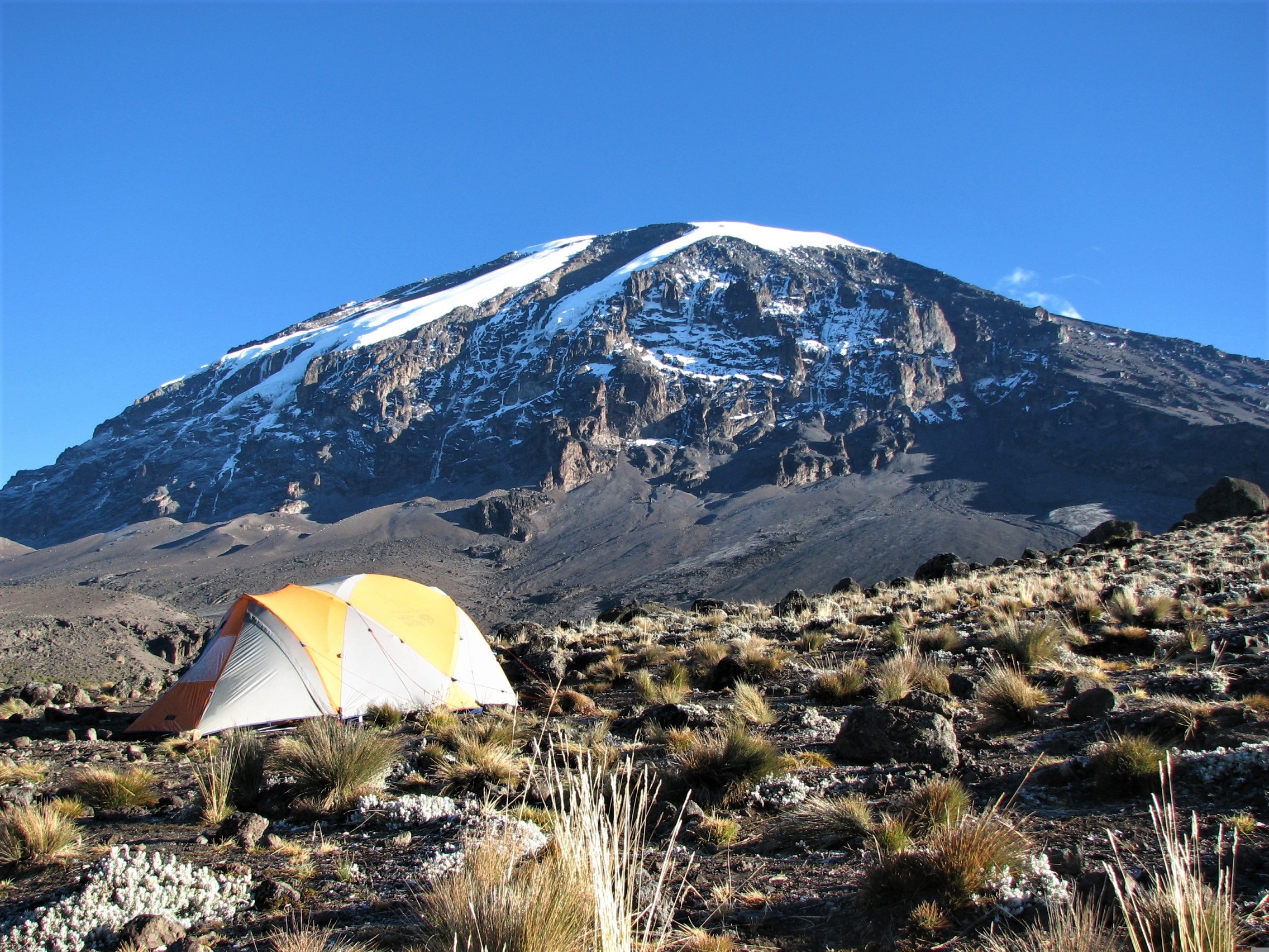 Kilimanjaro Summit Trek